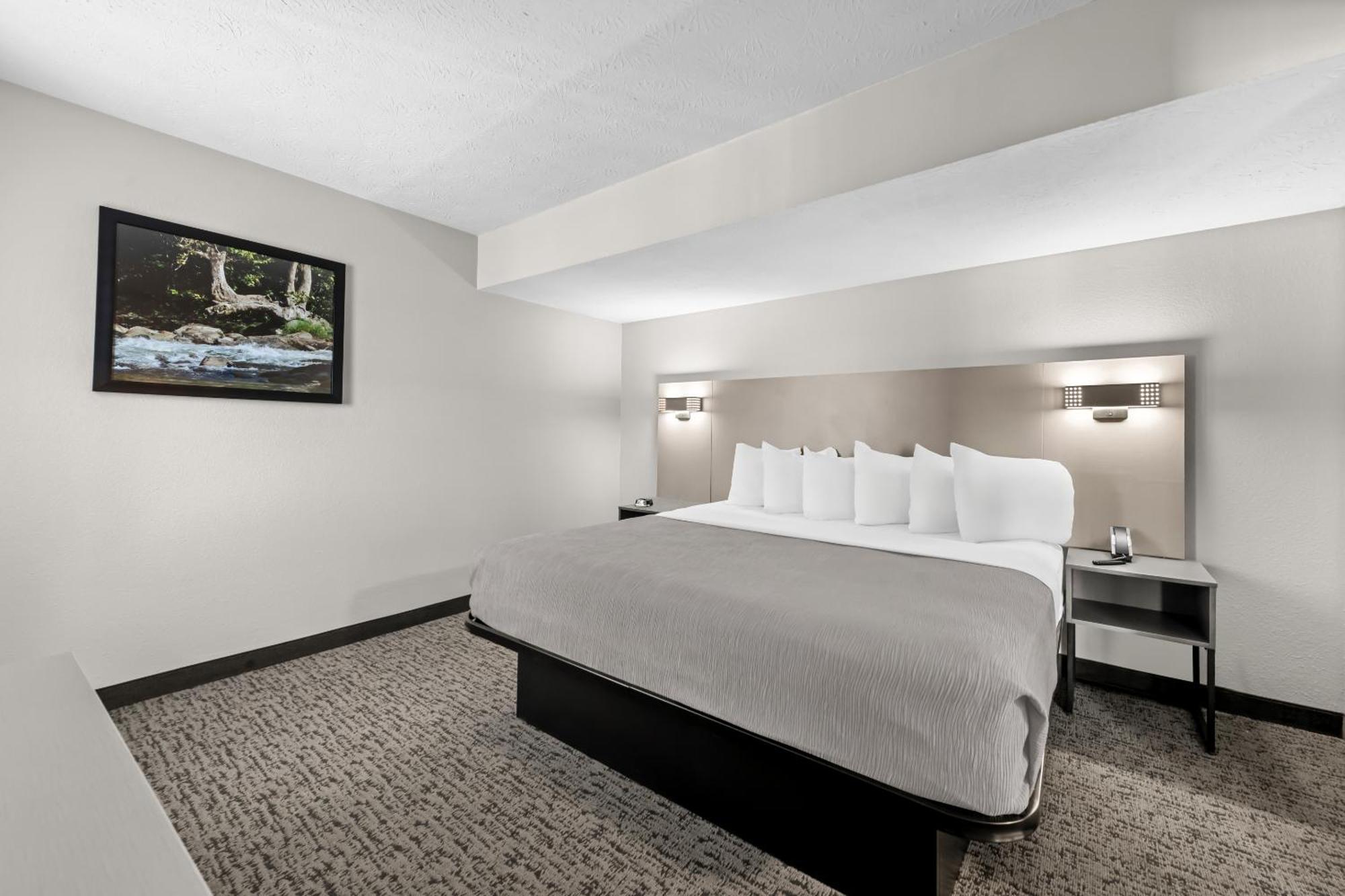 Quality Inn & Suites At Dollywood Lane Пиджен-Фордж Экстерьер фото